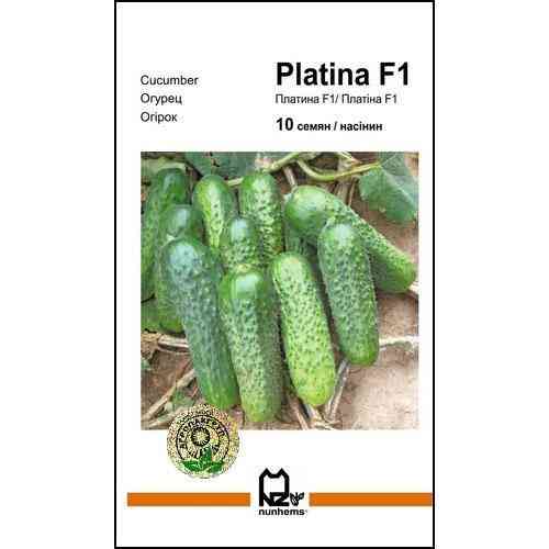 Семена огурца Платина F1 10 сем., Nunhems, Голландия Винница