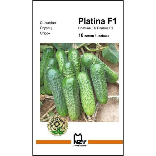 Семена огурца Платина F1 10 сем., Nunhems, Голландия Винница - изображение 1