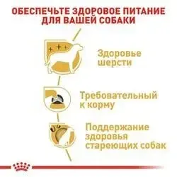 Royal Canin Yorkshire Terrier Adult (Роял Канин Йоркшир Терьер Эдалт) корм для йоркширских терьеров от 10 мес 7.5 кг. Запорожье