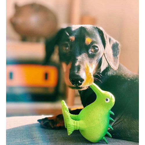 Іграшка Kiwi Walker для собак Птах Ківі зелений 15,5 см Київ - фото 4