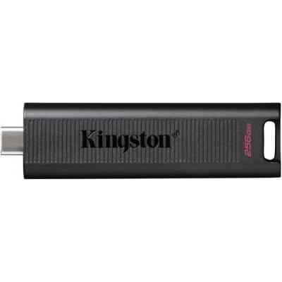USB флеш накопитель Kingston 256GB DataTraveler Max USB 3.2 Type-C (DTMAX/256GB) Винница