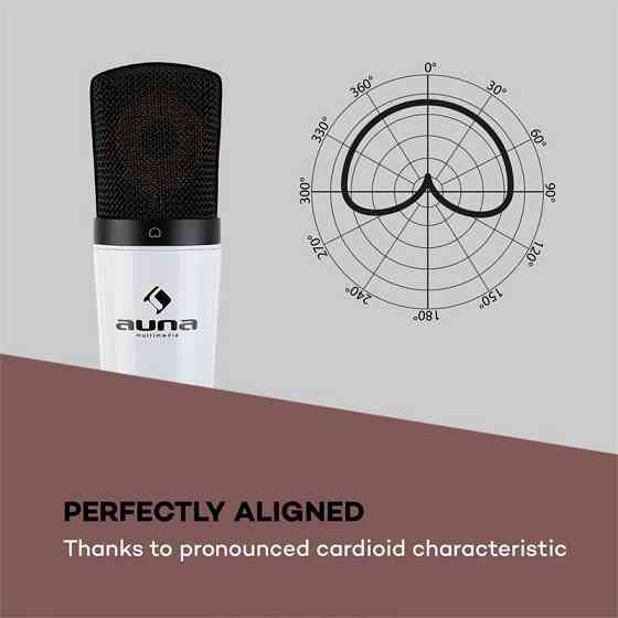 MIC-920 USB Microphone Set V5 конденсаторний мікрофон мікрофонний кронштейн захист від попмузики мікрофонний Рівне