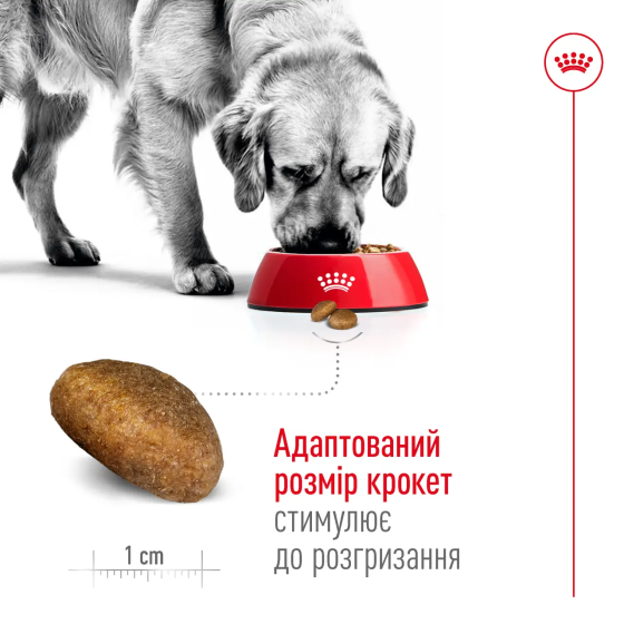 Royal Canin Maxi Adult 5+ (Рояв Канін Максі Едалт 5+) сухий корм для собак великих порід від п'яти років 15 кілограмів. Запоріжжя