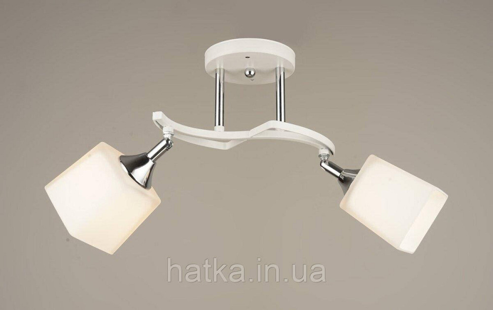 Люстра стельова Sirius B N4483/2 на 2 плафони з поворотнім механізмом Київ - фото 1