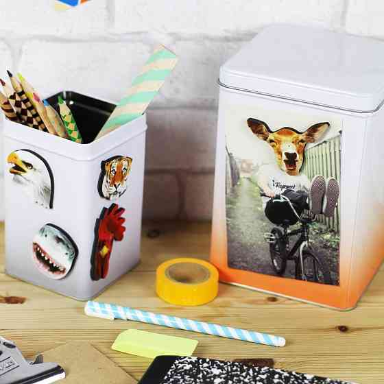 Набір магнітів Jungle Рівне