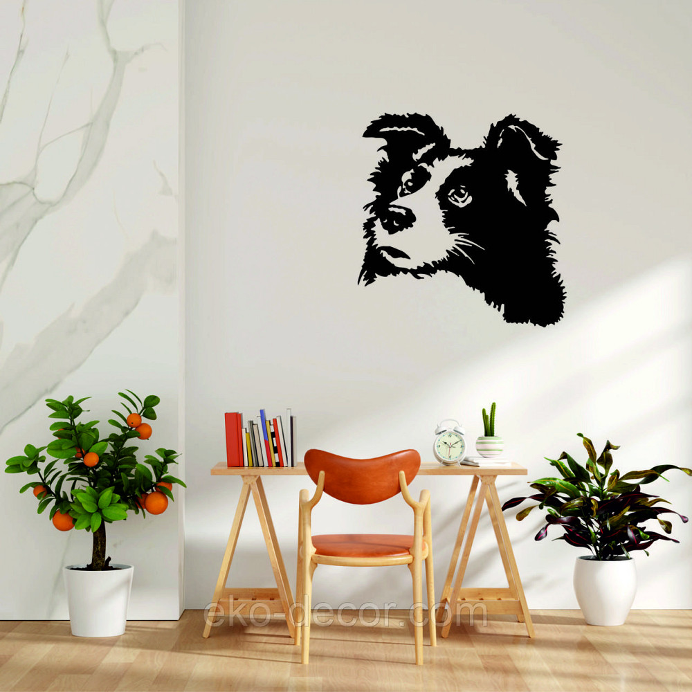 Декоративне настінне Панно «Бордер-Колі», Декор на стіну 90*88 см, Чорний Київ - фото 8