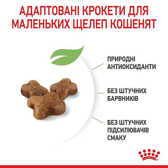 Royal Canin Kitten (Рояв Канін Кіттен) сухий корм для котят під час другої фази росту 10 кілограмів. Запоріжжя