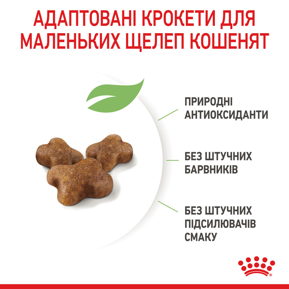 Royal Canin Kitten (Рояв Канін Кіттен) сухий корм для котят під час другої фази росту 10 кілограмів. Запоріжжя - фото 4
