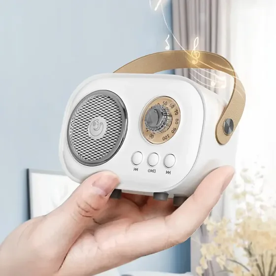 Колонка для караоке з мікрофоном на акумуляторі,Білий SBR Київ