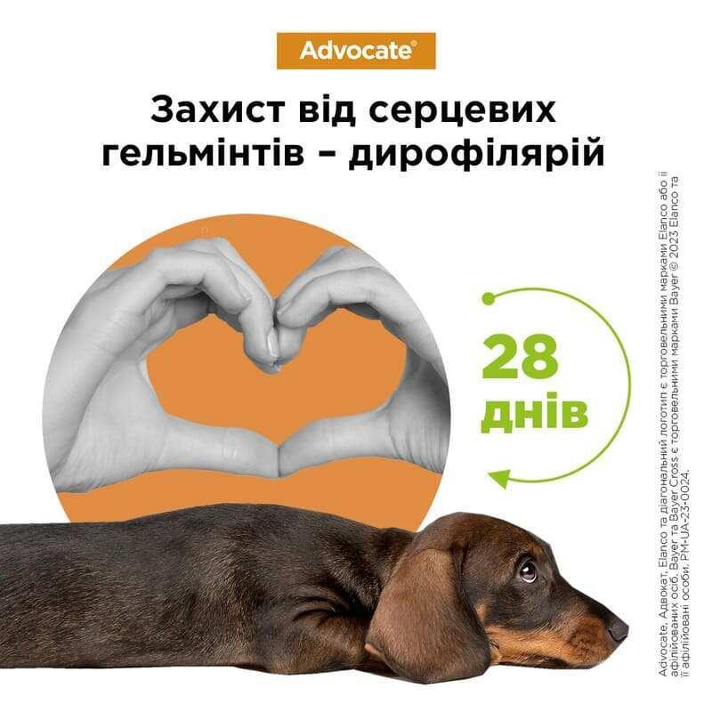 Краплі для собак до 4 кг проти бліх, кліщів, вошей, гельмінтів Bayer Elanco Advocate (Байєр Адвокат) 3 х 0.4 мл Запоріжжя - фото 2