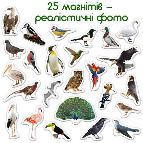Дитячий набір магнітів Птахи фото Magdum ML4031-30 EN Вінниця