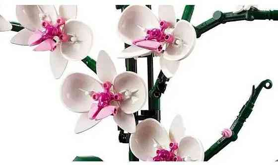 Конструктор напоминает LEGO Icons Botanical Орхидея из 608 деталей. Киев