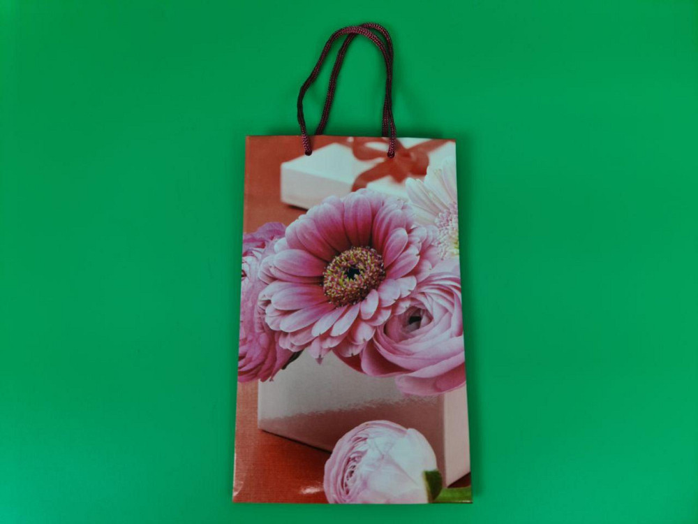 Бумажный пакет подарочный Средний 17/26/8 (артSV-092) (12 шт) Харьков - изображение 4