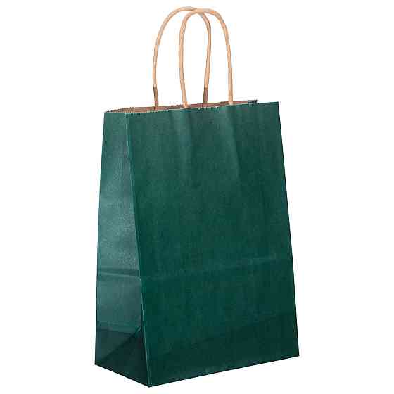 Набір подарункових крафтових пакетів з паперу 12 (шт.) гарні пакети для подарунків 15×8×21 (см) Зелений HP-10359-5GR Київ