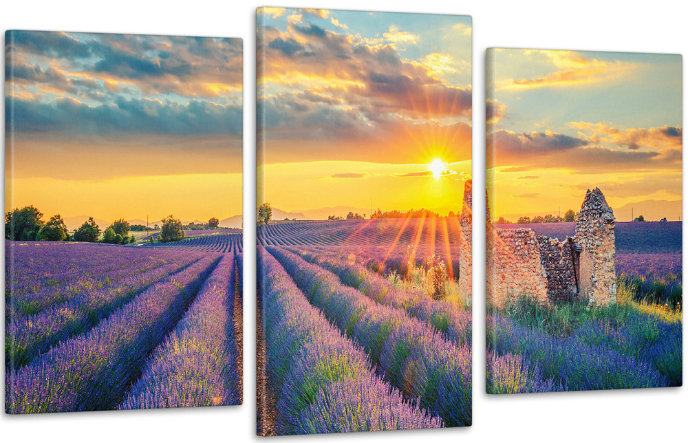 Модульная картина Поле лаванды Art-198_3 100x150 см Киев - изображение 1
