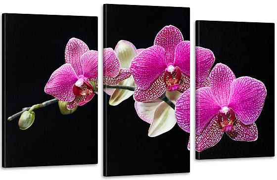 Модульна картина Орхідея (53x100sм) Art 133_3 70x130 см Київ