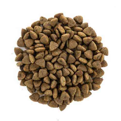 Корм сухой Brit Care Cat Grain Free Haircare Healthy and Shiny Coat для кошек уход за кожей и шерстью лосось и курица 2 кг Киев