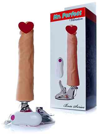 Вібратор Mr. Perfect Vibration 12 functions Sex Aura Київ