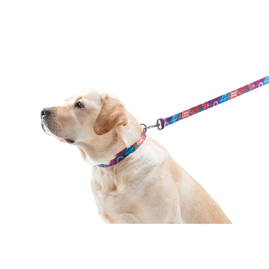 Нашийник для собак нейлоновий WAUDOG Nylon з QR-паспортом, малюнок "Літо", пластиковий фастекс, Ш 20 мм, Дл Вінниця - фото 6
