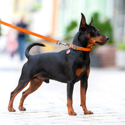 Повідок для собак WAUDOG Waterproof M Ш 20 мм Д 305 см помаранчевий (27364) Вінниця - фото 3