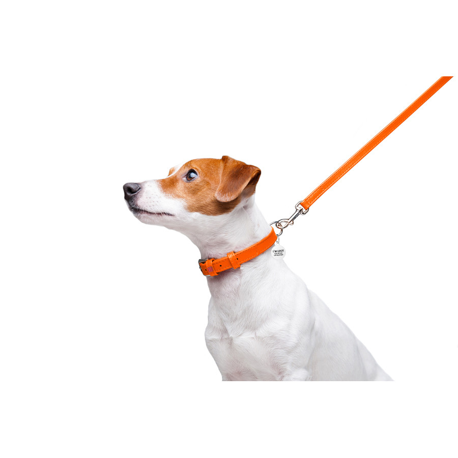 Повідець для собак шкіряний WAUDOG Glamour, Ш 12 мм, Дов 122 см помаранчевий Коломия - фото 5