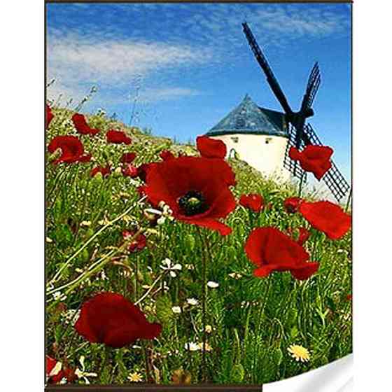 Алмазна мозаїка "Млин" GM86061 30х40 см Вінниця