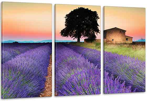 Модульная картина Дом Лаванда  (53x100см)  Art-50_3А Киев