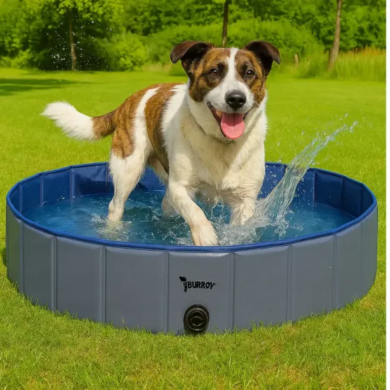 Бассейн для собак, нескользящий бассейн для домашних животных Pet Pool AND XL-1461 Коломыя