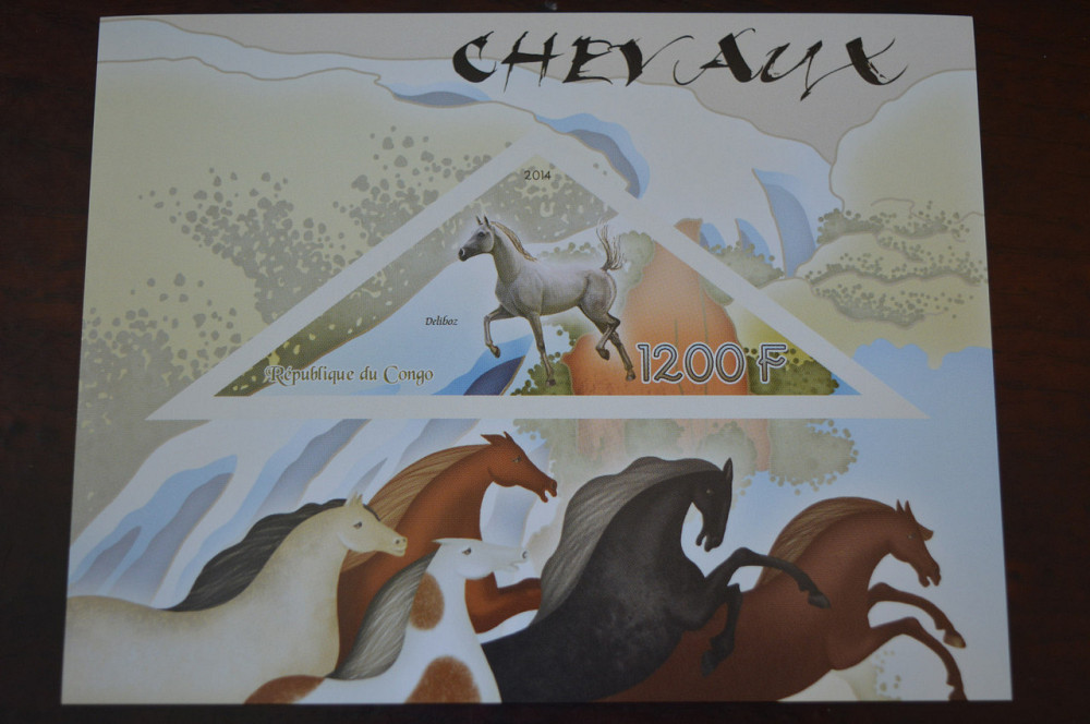 Конго. Фауна. Личности. Блок. 2014 р. (А-34) Полтава - фото 1