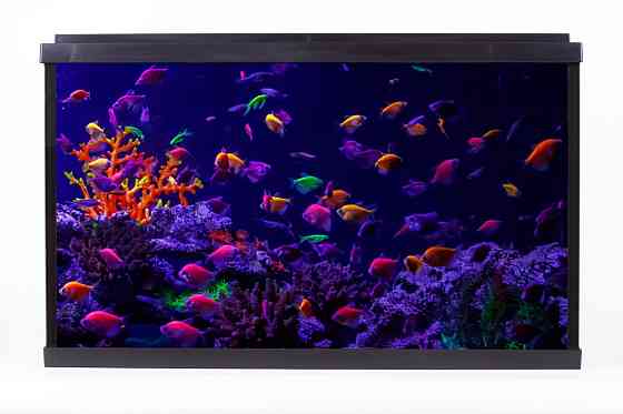 Акваріум Resun WPG 40 для GloFish, фільтр, світло LED білий/місячний, 40л, 515х260х320 Київ