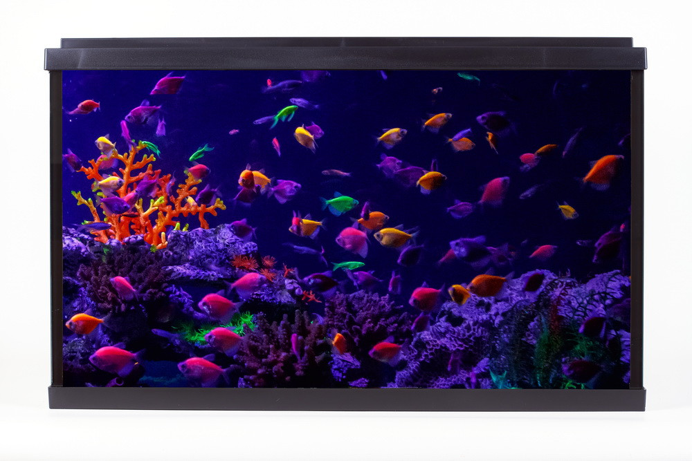 Акваріум Resun WPG 40 для GloFish, фільтр, світло LED білий/місячний, 40л, 515х260х320 Київ - фото 1
