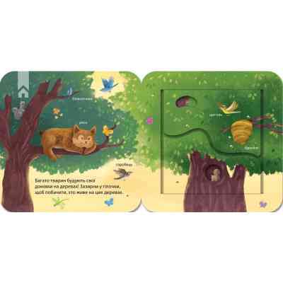 Книга Хто живе у лісі? Зазирни у віконечко - Джей Ґарнетт КСД (9786171502840) Вінниця