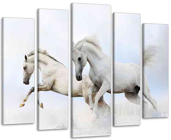 Модульна картина Коні Білі Art-121_5 Київ