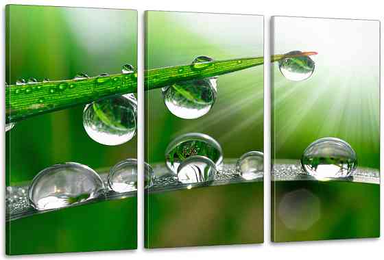 Модульная картина в гостиную / спальню  Краплі роси      ART-307_3A Киев