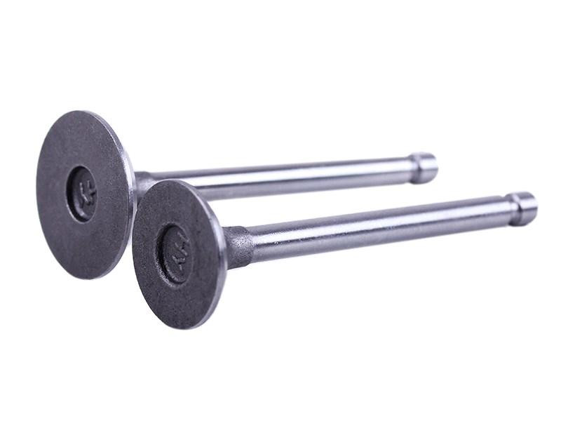 Клапани (пара, голі) мотоблок 170D Мукачево - фото 1