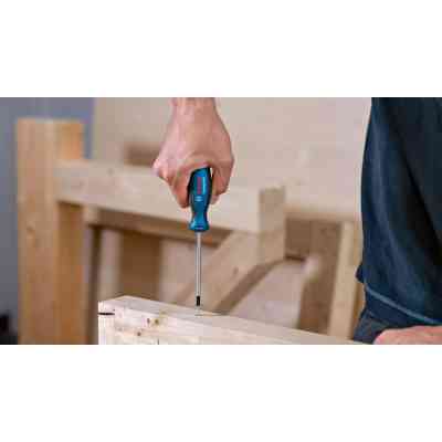 Викрутка Bosch T10x75мм (1.600.A01.V0A) Вінниця