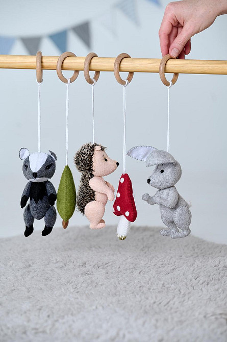 Набір іграшок-підвісок WooolyWool "Друзі" Київ - фото 5