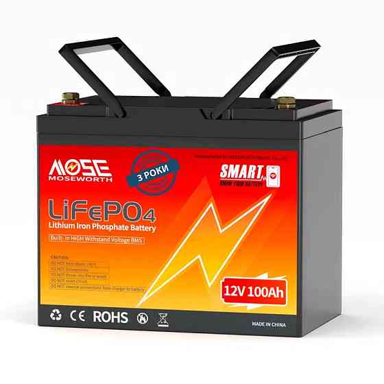 Літій-залізо-фосфатний акумулятор MOSEWORTH LiFePO4 12V 100 Ah Smart (1280Wh) (BMS 100A) Київ