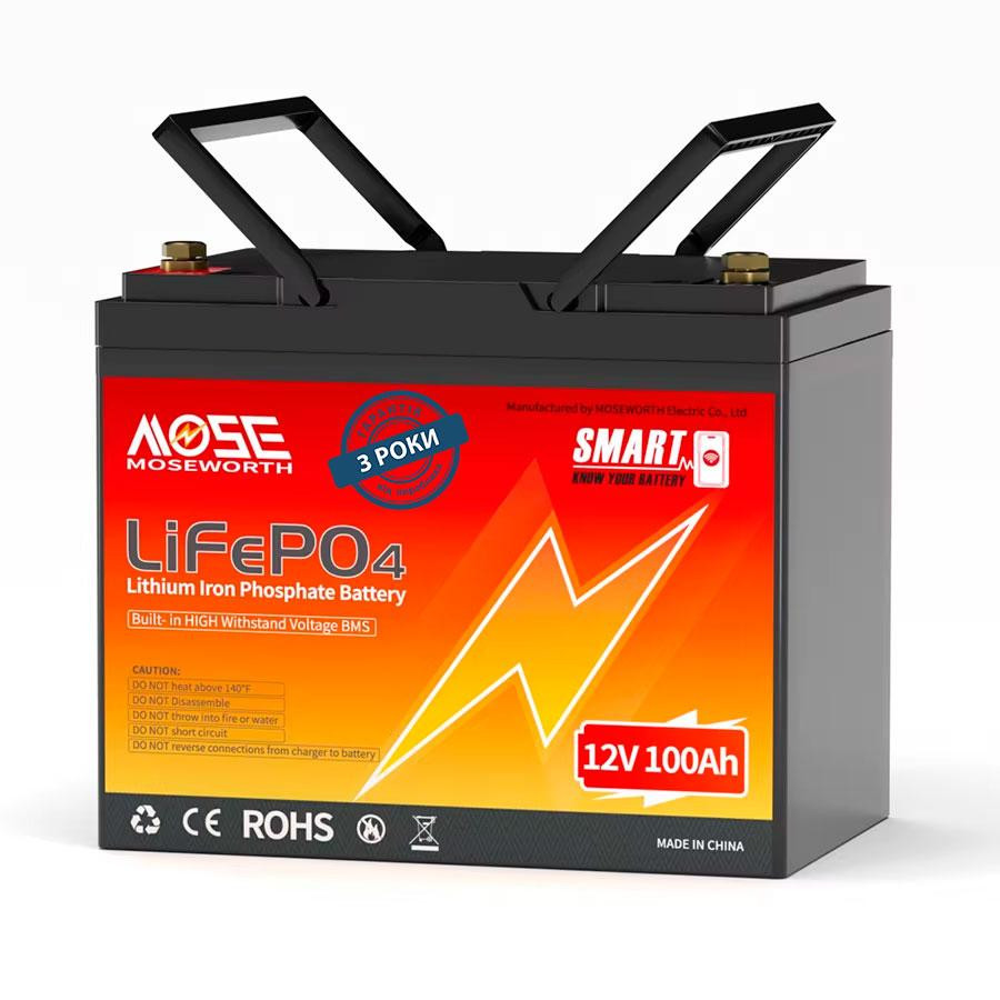 Літій-залізо-фосфатний акумулятор MOSEWORTH LiFePO4 12V 100 Ah Smart (1280Wh) (BMS 100A) Київ - фото 1