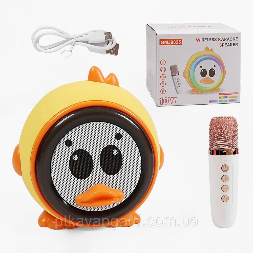 Детская караоке-колонка с микрофоном и блютуз 