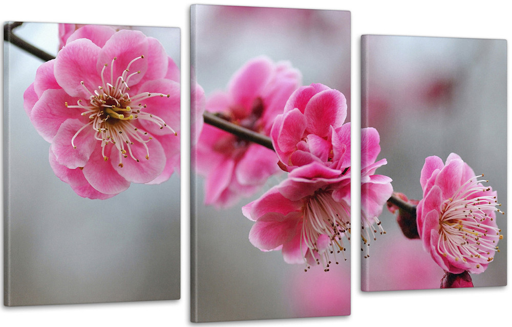 Модульна картина Квіти Весна Art-229_3 Київ - фото 1