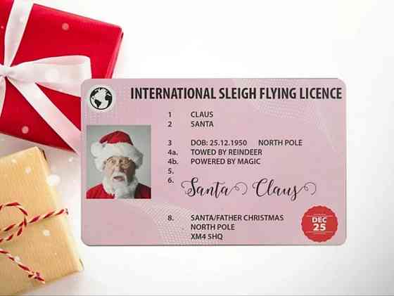 Удостоверение личности Деда Мороза декоративное 85 на 55 мм разноцветный Киев