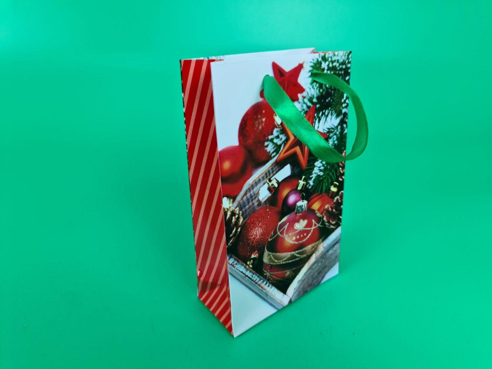 Пакеты новогодние ,бумажные ,подарочные , Малый 11/18/5  - -024 (12 шт) Харьков - изображение 1