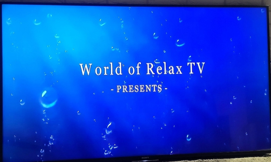 Телевізор SONY 65" Київ - фото 3