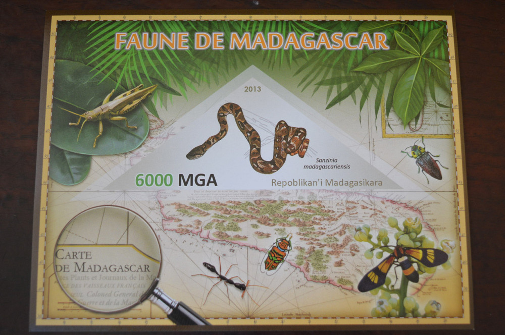 Мадагаскар. Фауна. Личности. Блок. 2014 р. (А-34) Полтава - фото 1