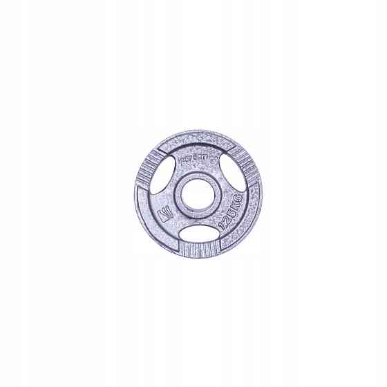 Диск чугунный inSPORTline Hamerton 1,25 кг Киев