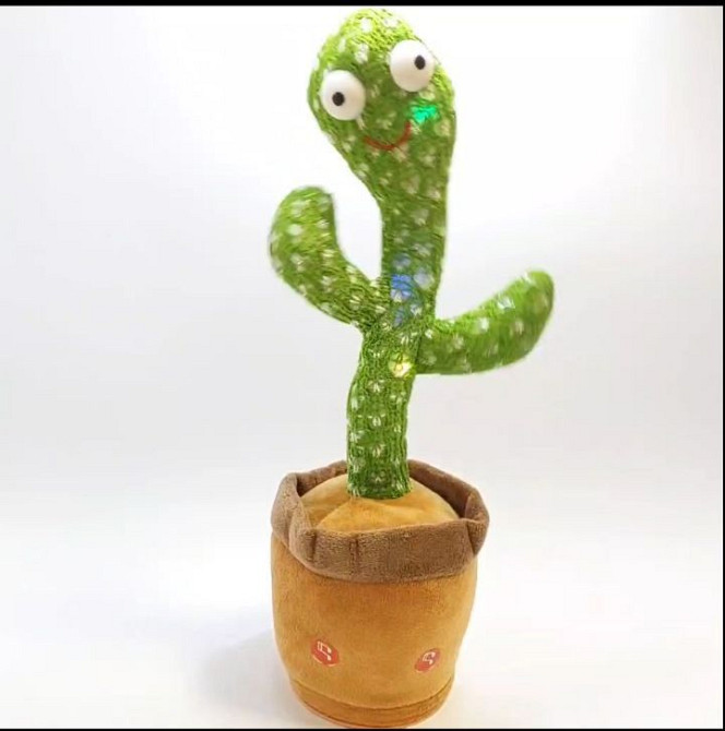 Танцюючий кактус Луцк - изображение 1