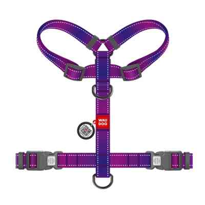 Шлея для собак WAUDOG Nylon Mono анатомічна H-подібна з QR паспортом, пластиковий фастекс, М фіолетова (54579) Вінниця