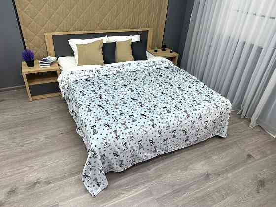 Плед-покривало Decorator WellSoft CUTE KITTY 200х205 см з принтом "Котики" (87-185) Київ