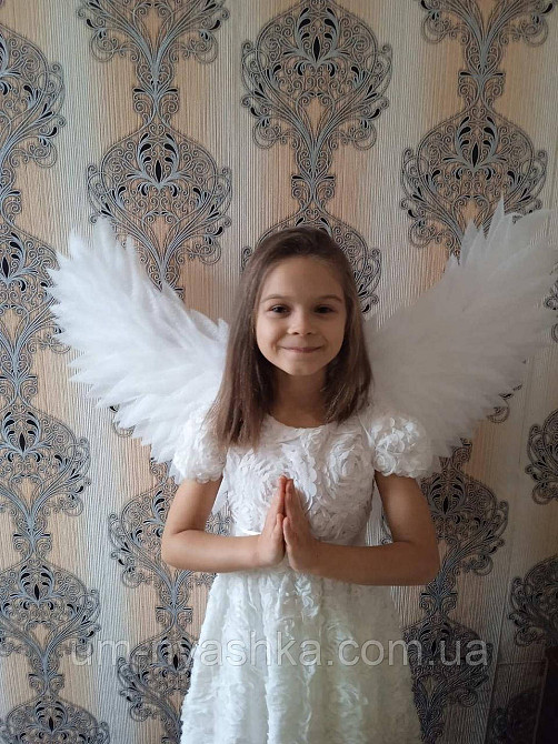 Крылья Ангела большие поднятые Кривой Рог - изображение 2